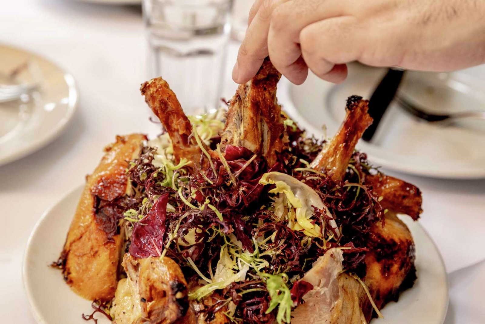 Zuni Cafe, Mediterranean in Hayes Valley